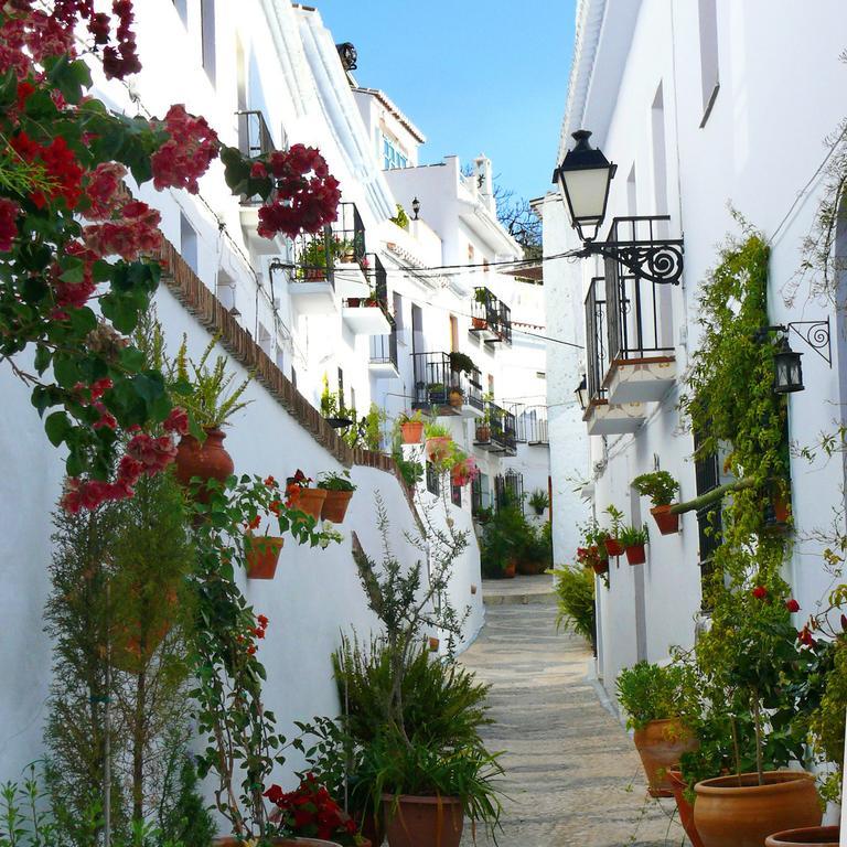 El Refugio De Elody Apartment Malaga Ngoại thất bức ảnh